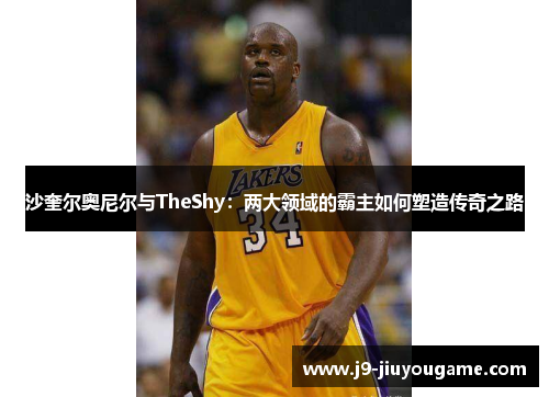 沙奎尔奥尼尔与TheShy：两大领域的霸主如何塑造传奇之路